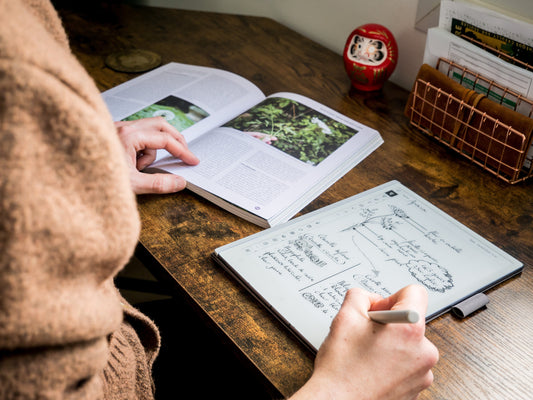 E Ink Tablet for Work: A Calm Setup for Notes and PDFs
