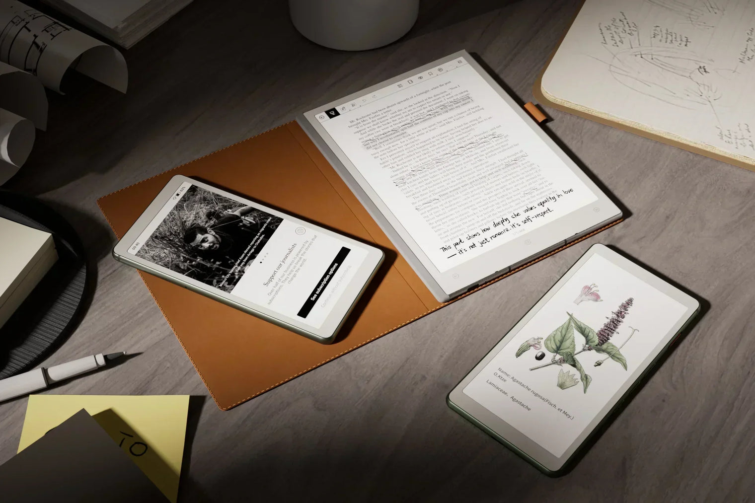Ereader Browser Android eReader: Flexibility Meets Your Reading Routine – Viwoods