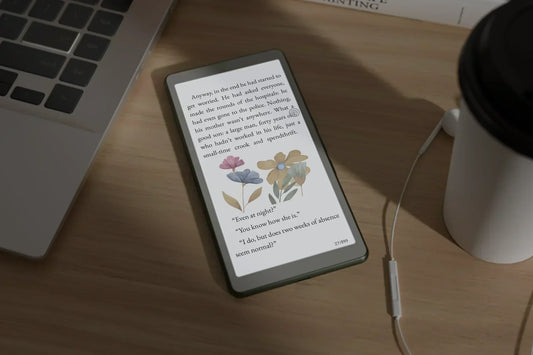 Kaleido 3 Color E Ink Display