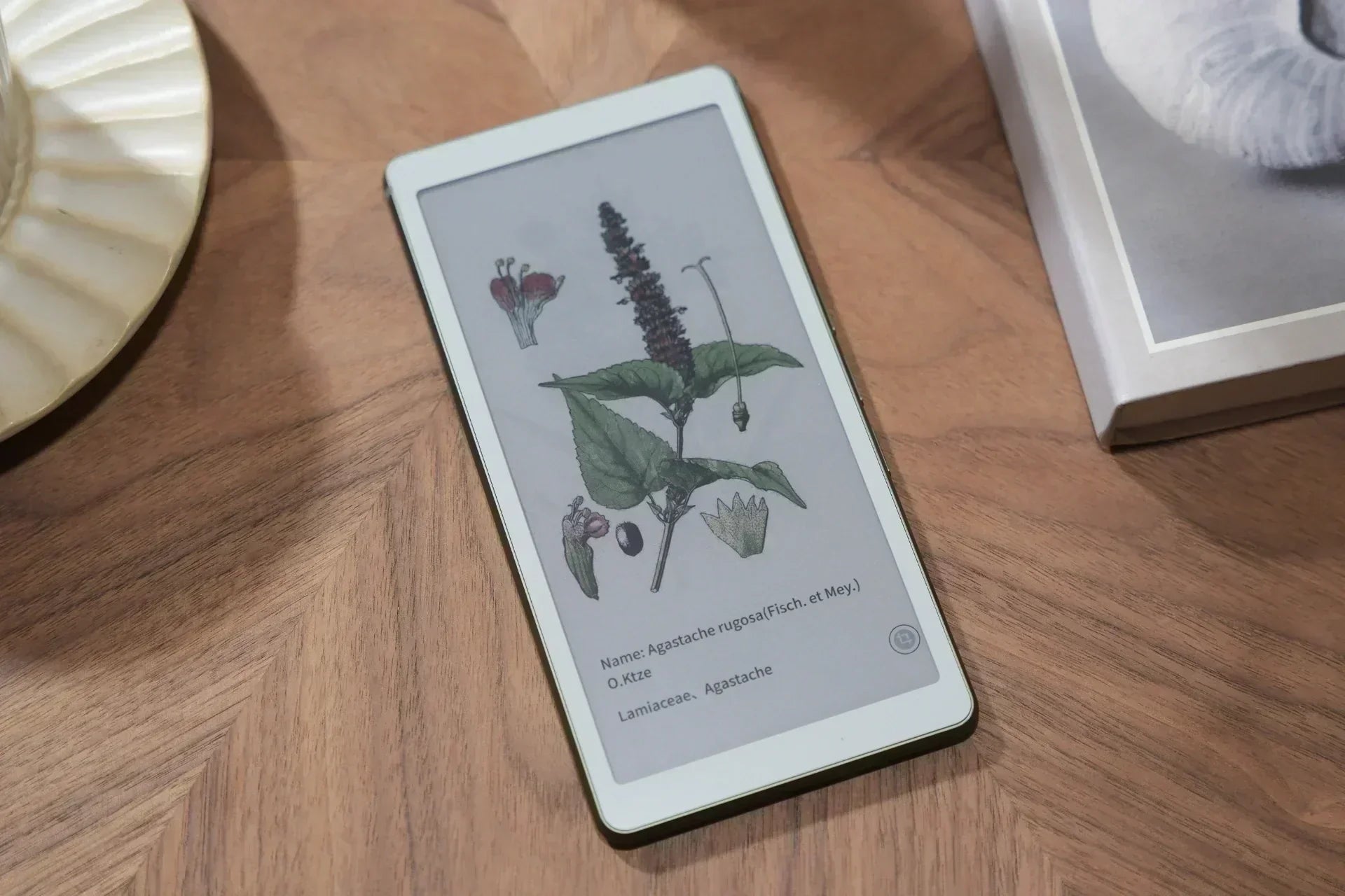 Color Ereader Compact Color eReader: A Practical Overview of Color E Ink Today – Viwoods