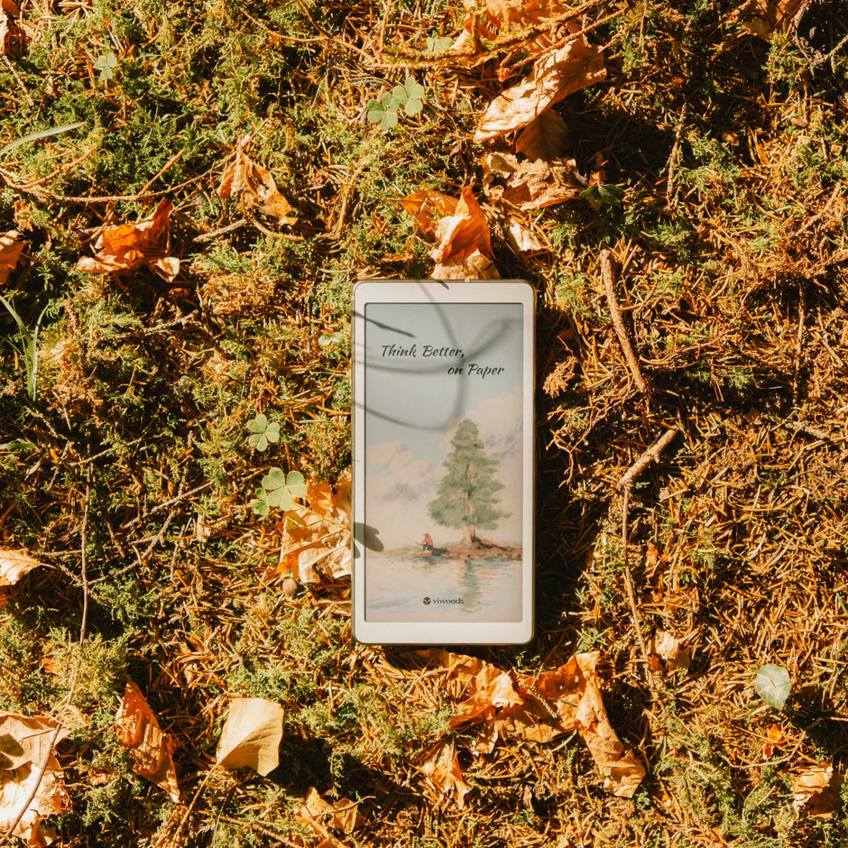 viwoods E-reader on a bed of autumn leaves and grass
