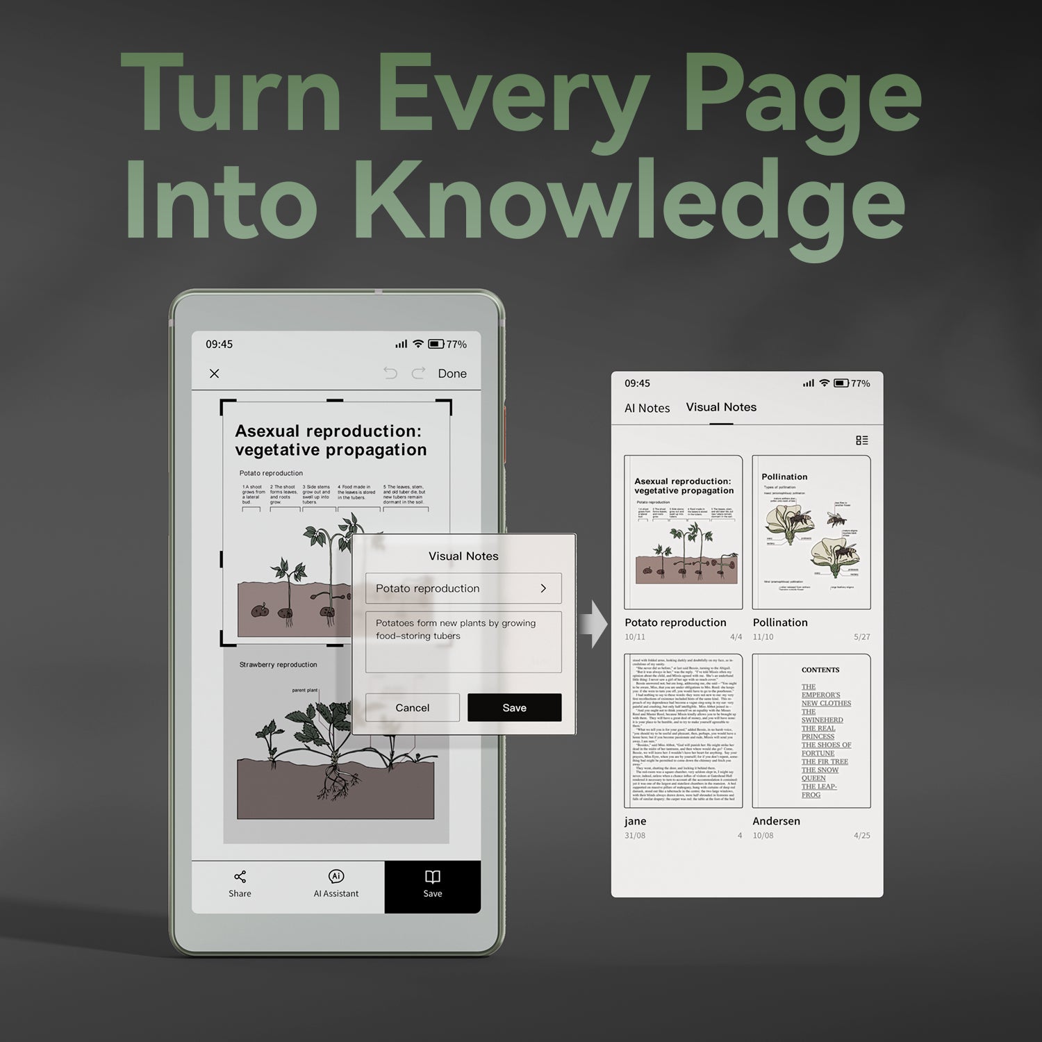 Viwoods AiPaper Reader Colour